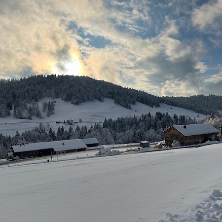 Ferienwohnung Schoenenbuehl Hittisau Dış mekan fotoğraf