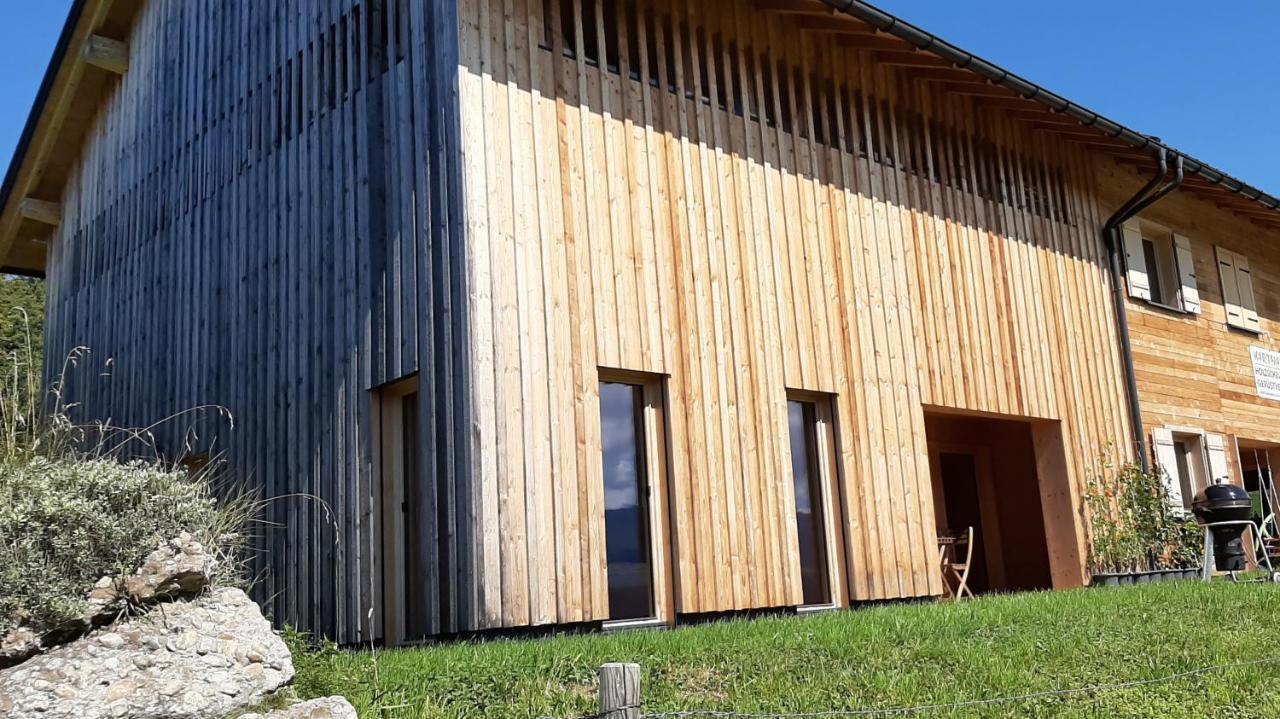 Ferienwohnung Schoenenbuehl Hittisau Dış mekan fotoğraf
