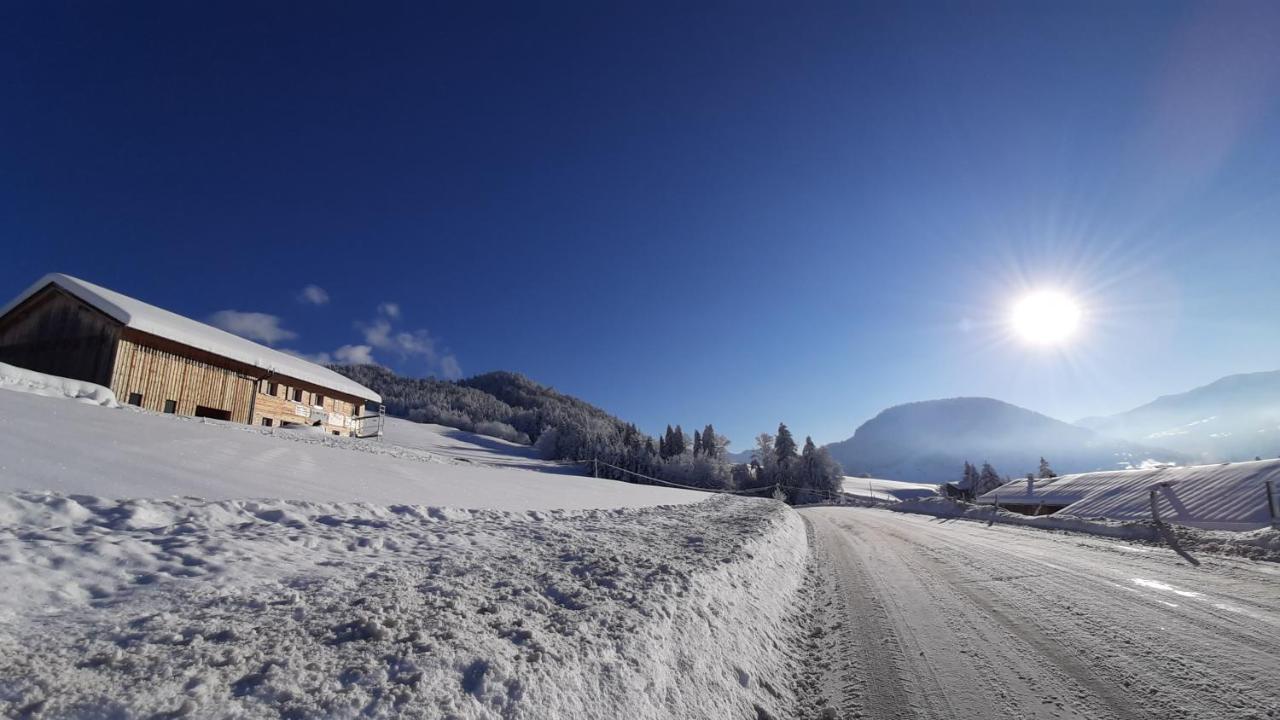 Ferienwohnung Schoenenbuehl Hittisau Dış mekan fotoğraf